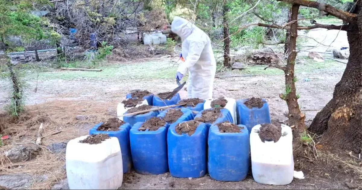 Aseguran en Sinaloa más de 5 mil kilos de sustancias para hacer metanfetaminas