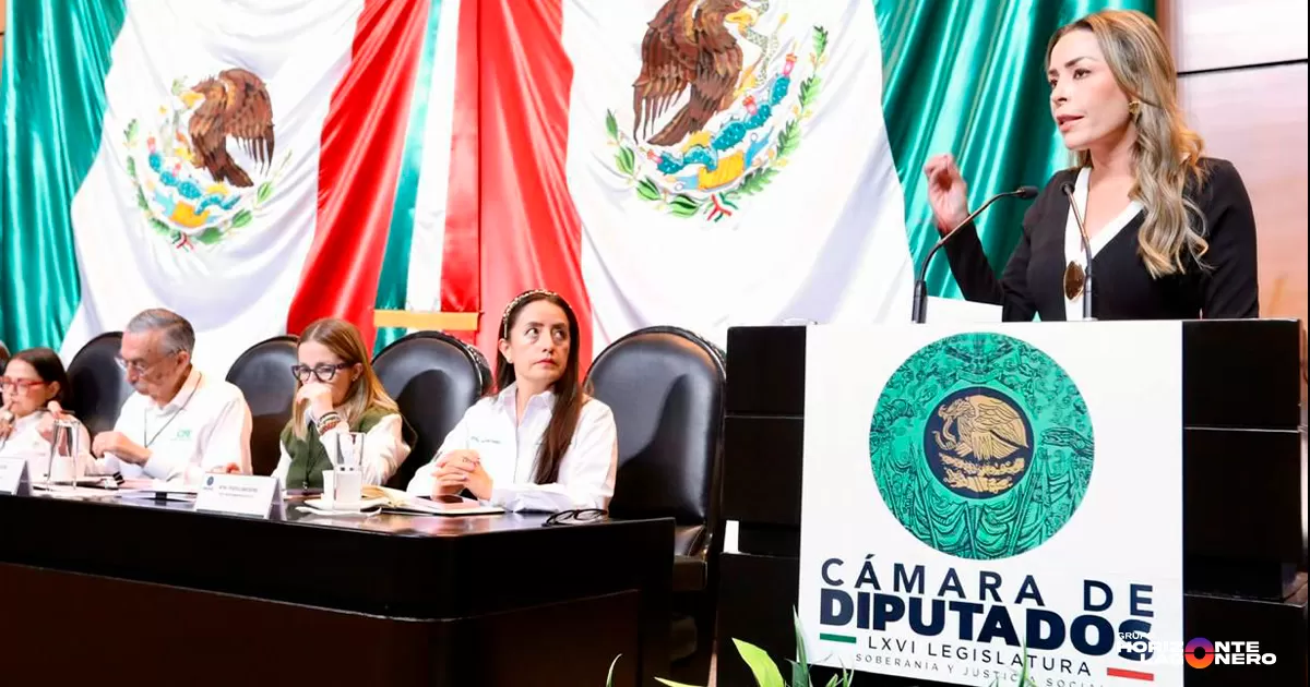 Durante su intervención, la legisladora señaló que solo de enero a julio de 2025 se han reportado más de 36 mil fallas eléctricas en la entidad.