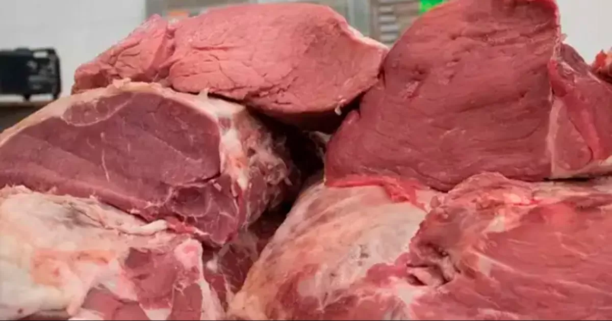 Desmantelan matadero clandestino en Durango que mezclaba carne de caballo con res; autoridades alertan sobre fraude alimentario.
