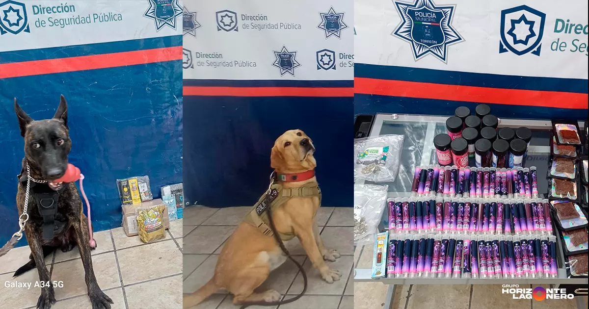 El primer hecho ocurrió a las 18:20 horas de este pasado lunes, cuando los oficiales de la Unidad Canina, en coordinación con el binomio “Tanque”, llevaron a cabo una inspección preventiva en una empresa ubicada sobre la calle Adolfo Aymes número 168-A, en Ciudad Industrial.