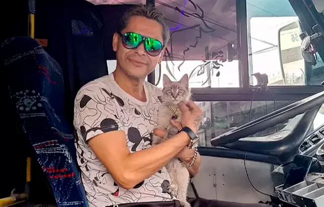Roban a Zafiro, el querido “michi cobrador” de Puebla; su dueño y pasajeros piden ayuda para encontrarlo.