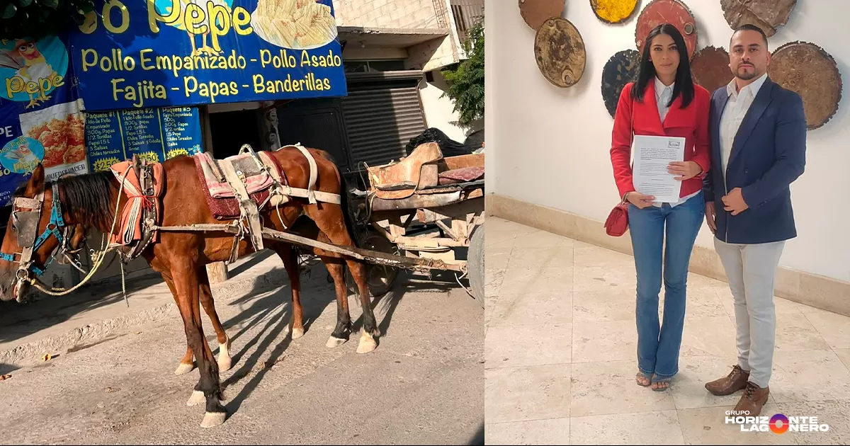 La propuesta fue impulsada por Defensoría Animalista Laguna, con el acompañamiento del primer regidor Luis Cuerda, quien la presentó de manera formal ante el Ayuntamiento.