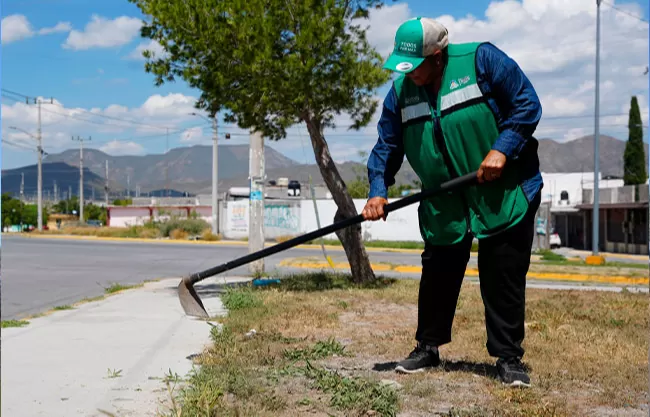 Mujeres ramosarizpenses mejoran plazas y espacios públicos en distintos sectores de la ciudad