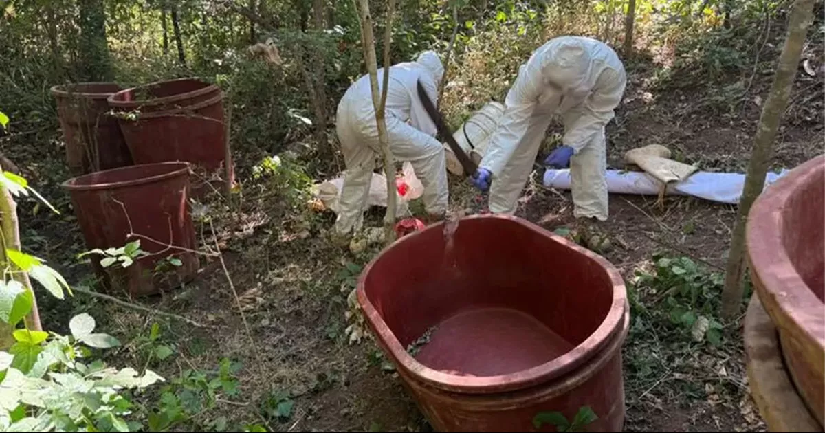 El gobierno de México destacó los resultados más recientes y relevantes del 'Operación Frontera Norte'.