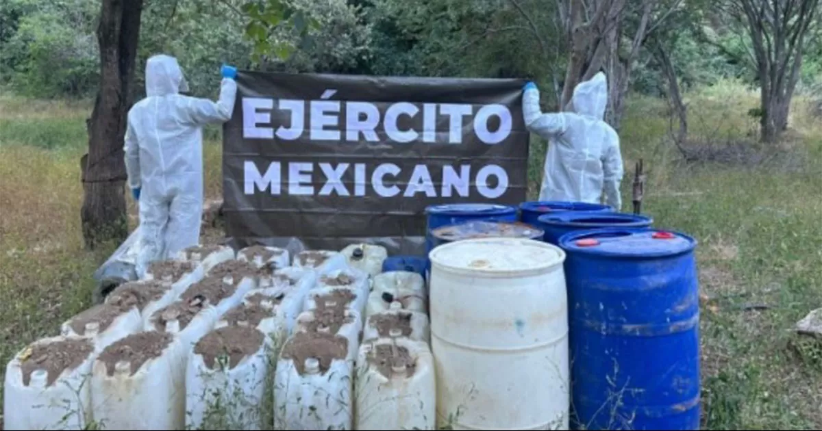 Desmantelan 15 puntos de producción de drogas en Badiraguato, Culiacán y Cosalá; hay 2 detenidos