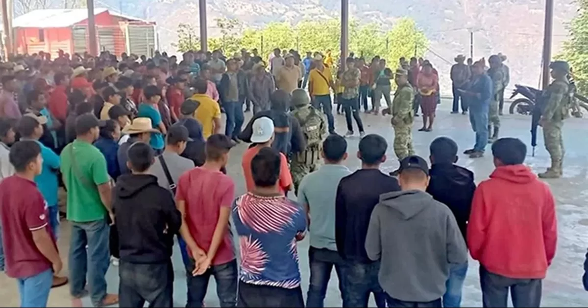 Autoridades de 66 comunidades de Guerrero informaron que campesinos regresaron a siembra de amapola tras retiro de programa Sembrando Vida.