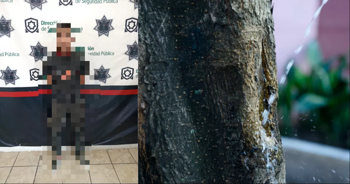 Marcaba su territorio en la calle, es detenido