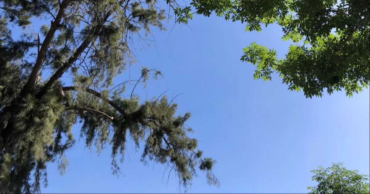 La medición de la calidad del aire requiere el cumplimiento de por lo menos 4 normas, solo 1 de ellas se cumple al 100% en el municipio