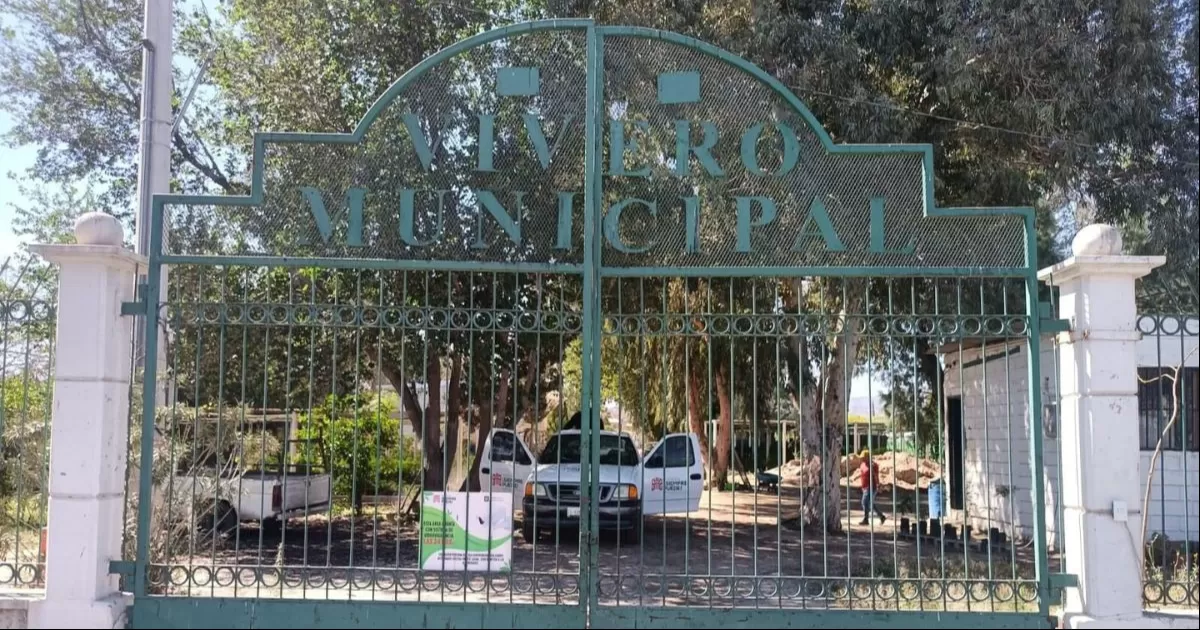 Esta semana inicio la entrega gratuita de flora originaria del municipio para tratar de disminuir las altas temperaturas