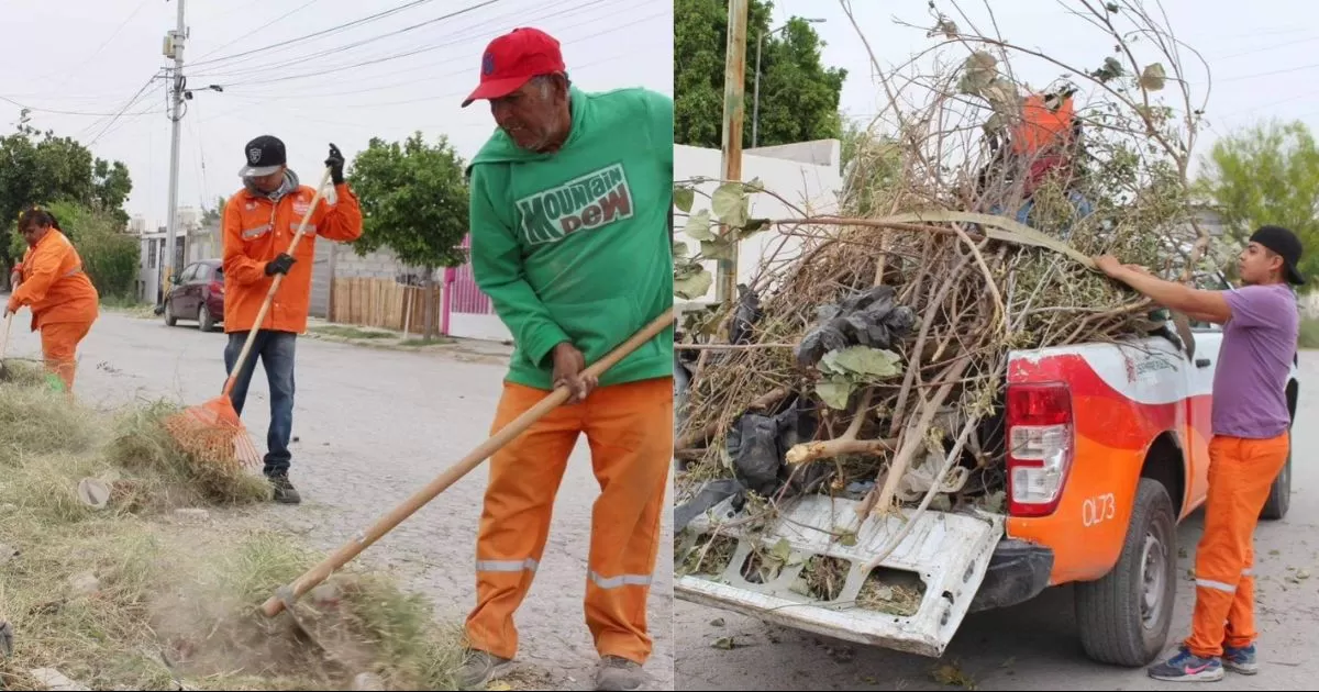 Se realizÃ³ desmalezado y retiro de basura en la carretera a Santa Fe, desde la avenida Universidad, hasta el bulevar TorreÃ³n - Matamoros, Â tramo donde se recolectÃ³ media tonelada de desechos, principalmente hierba.