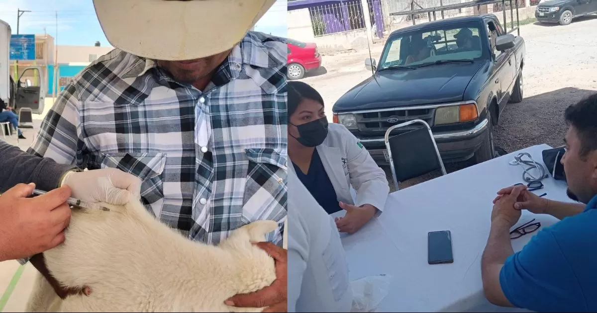 Un total de 20 esterilizaciones, 75 desparasitaciones y 33 consultas fueron realizadas, con la participaciÃ³n de casi 200 personas.