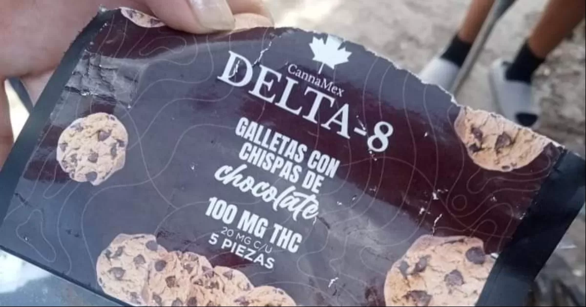 Autoridades informaron que al momento se está indagando sobre la procedencia de los alimentos.