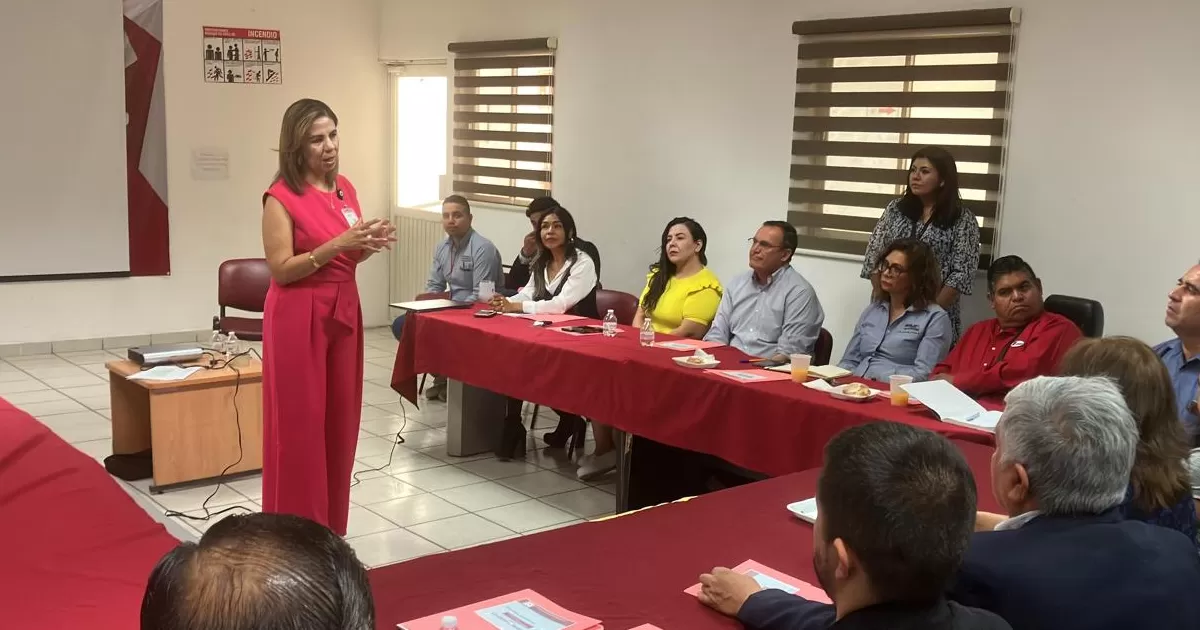 El programa consta de seis etapas: 1. Acuerdos de participación 2. Diagnóstico de recursos y necesidades 3. Planeación de acciones 4. Desarrollo del programa 5. Evaluación y 6. Seguimiento.