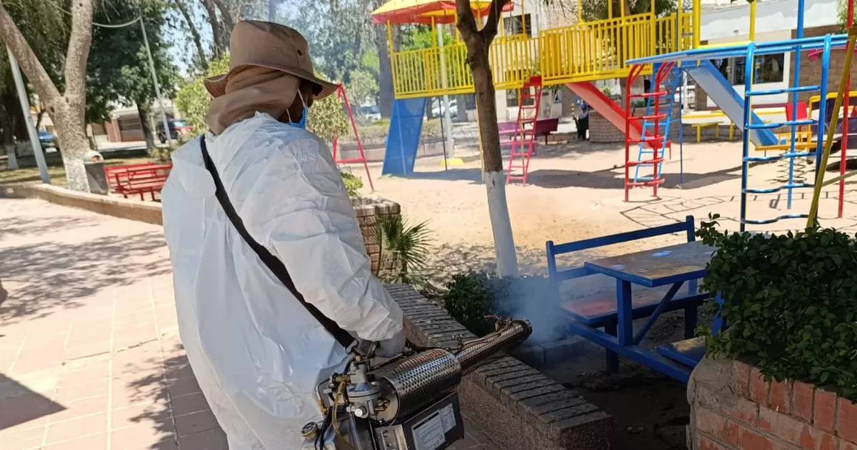 Salud Municipal mantiene acciones contra moscos y garrapatas en Torreón