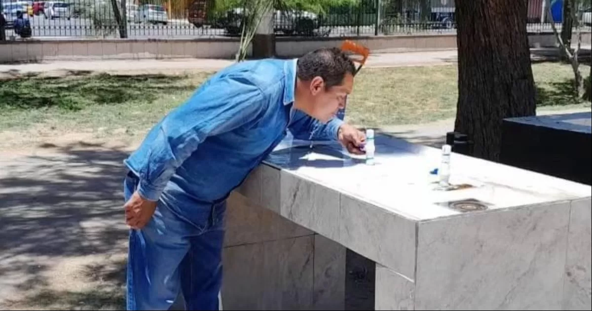 Fernando Villarreal Cuéllar, titular de la dependencia, explicó que los jardines del lugar son atendidos con poda y revisión fitosanitaria, es decir el método para prevenir y evitar plaga en la flora.