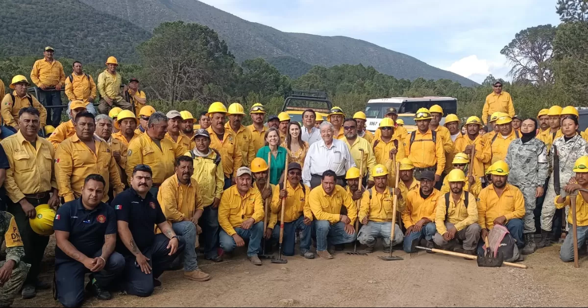 Se contó con el apoyo aéreo de un helicóptero, y se informó que se continuará con acciones de vigilancia con 19 brigadistas por los siguientes 2 días por parte del municipio de Saltillo, CONAFOR, así como 2 ambulancias.