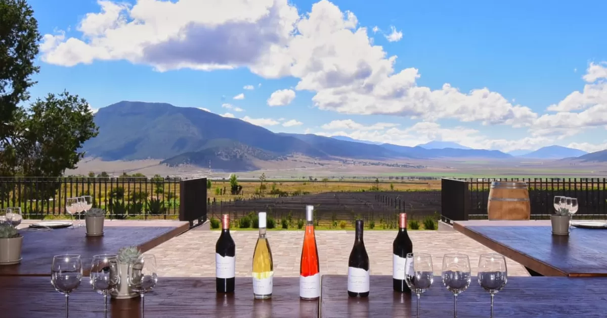 Tiene Coahuila de los mejores vinos del mundo; gana 19 medallas en el Concours Mondial de Bruxelles 2024