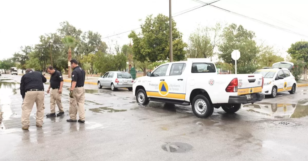 Jorge Luis Juárez Llanas, titular de la corporación, informó  que atendieron la caída de seis árboles, una palma incendiada, cinco reportes de cables eléctricos y una lona a punto de desprenderse.