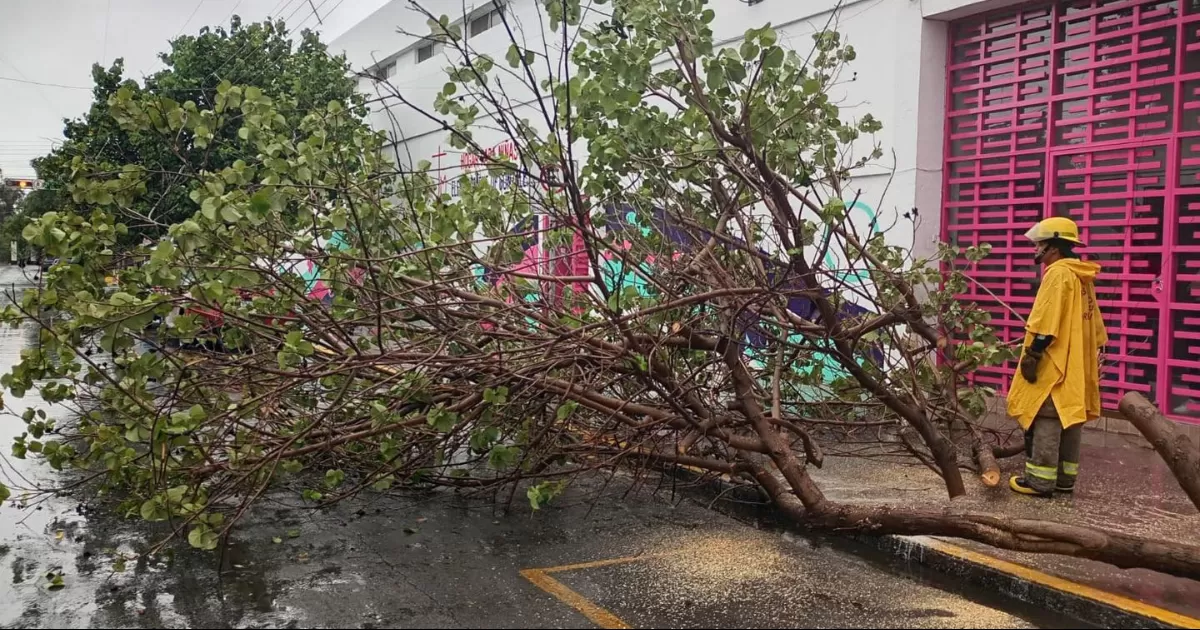 Dependencias participaron en  diversas acciones como parte  del Plan Municipal de AtenciÃ³n a Lluvias en TorreÃ³n.