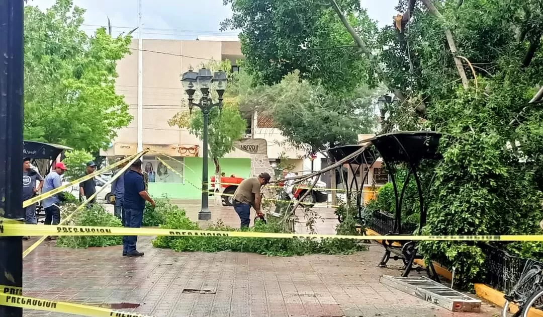 Su objetivo es disminuir riesgos durante las intensas lluvias.