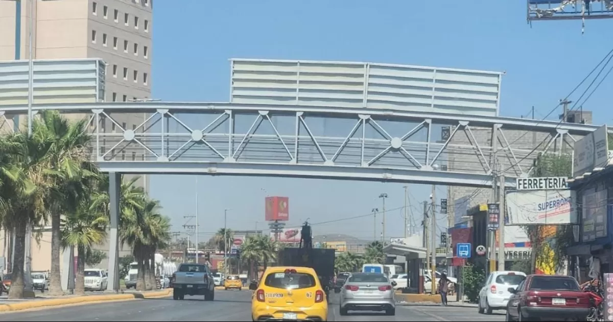 El municipio de TorreÃ³n cuenta con un total de 54 puentes peatonales.