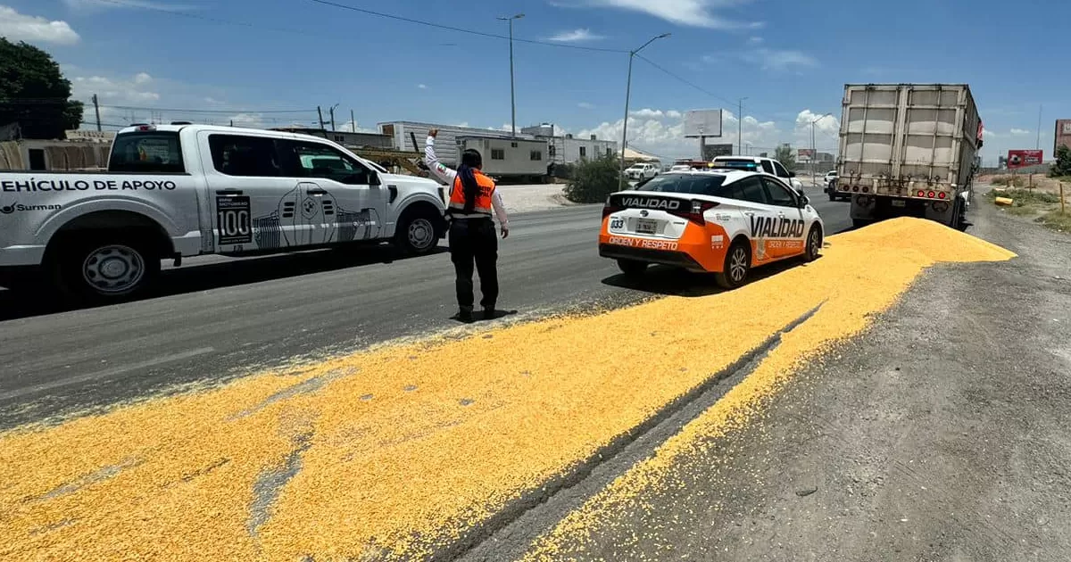 Camión derrama su carga de maíz en pleno periférico de Torreón
