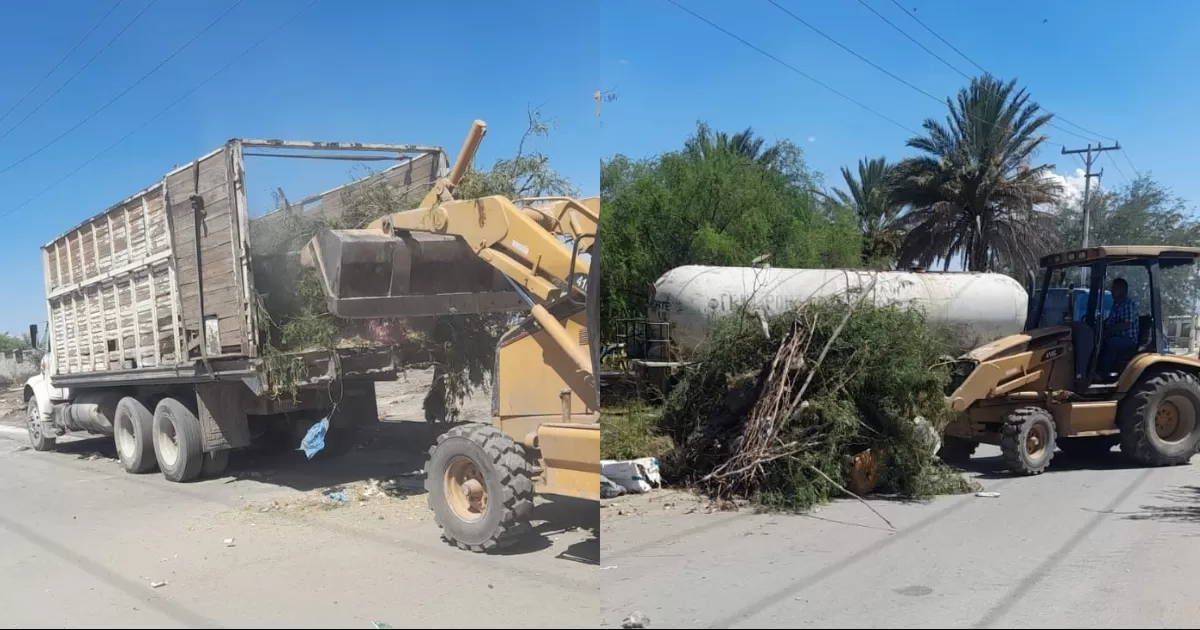 Realizaron una jordana de limpieza y mejoramiento a los espacios pÃºblicos en la colonia Urbi Villas del Cedro.
