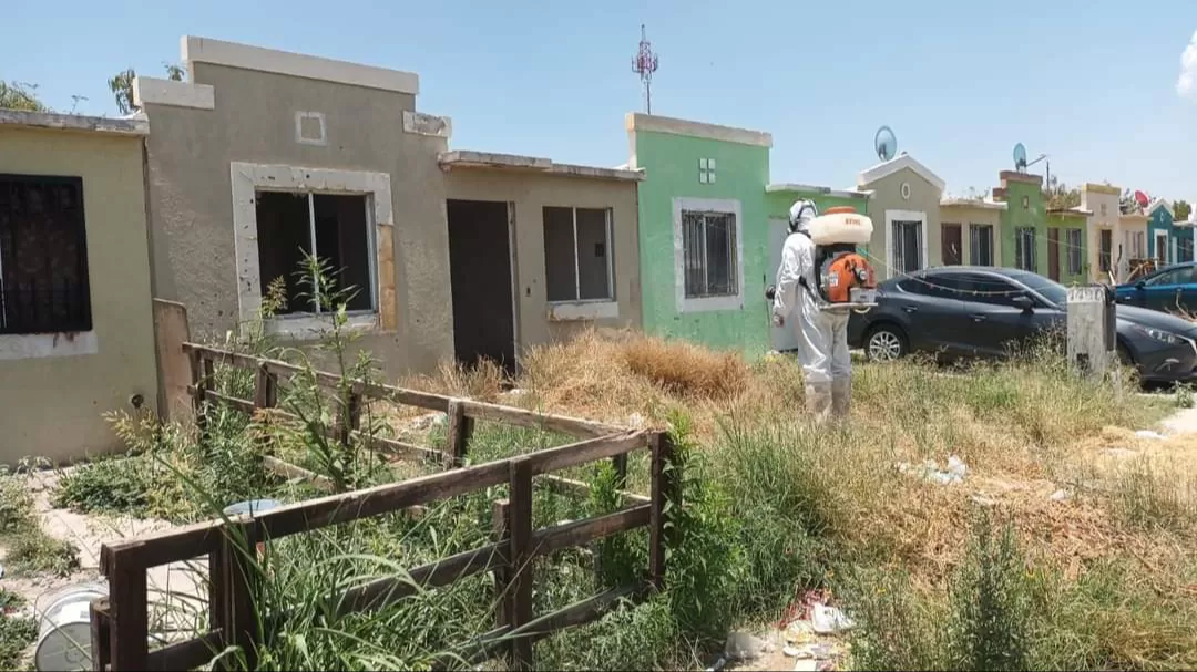 No se reportan casos de dengue en Gómez Palacio en este 2024