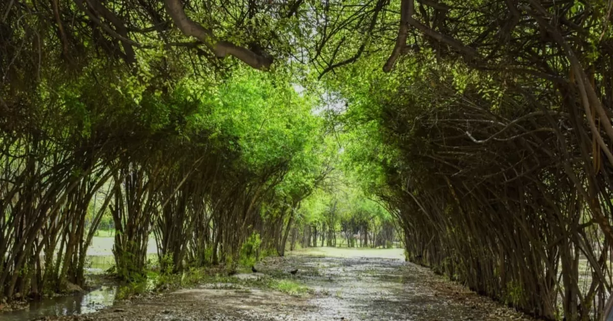 Un promedio de 500 personas al dÃ­a visitan este Parque.
