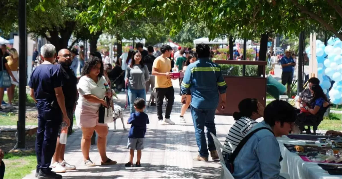 El horario de actividades en el Paseo Colón es a partir de las 08:00 y hasta las 12:00 horas.