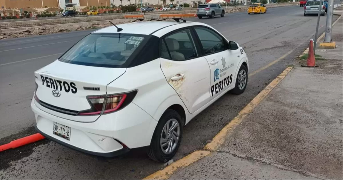 Falta de precaución predomina en accidentes viales