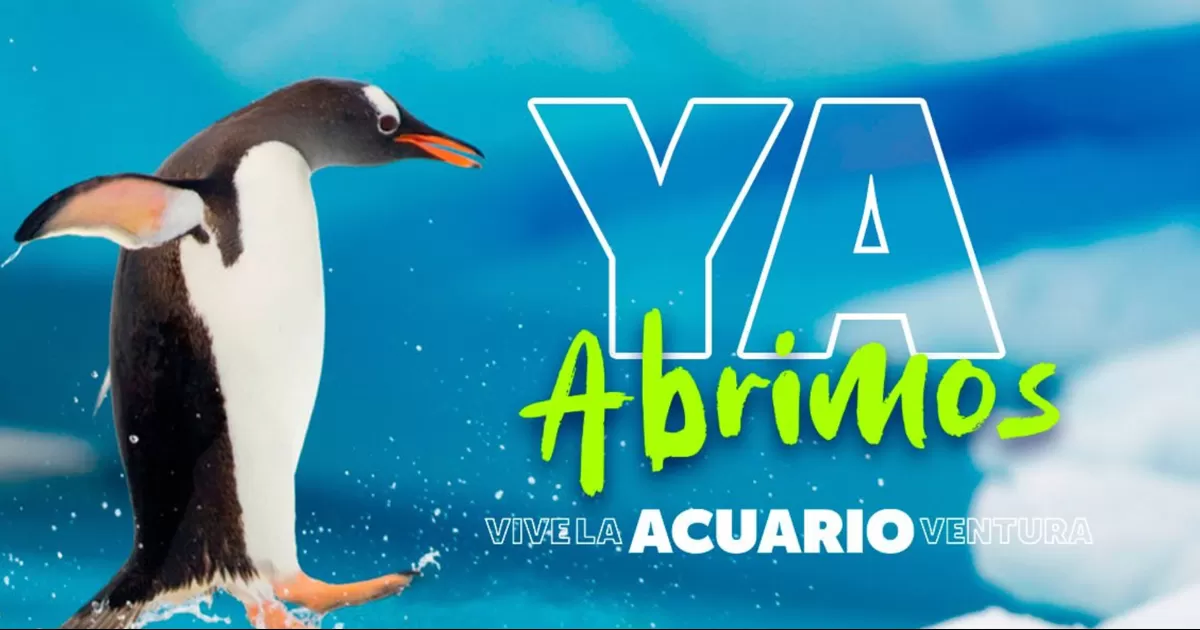 Los horarios son de luenes a viernes de 11:00 a 19:00 horas, y los fines de semana (sÃ¡bado y domingo) de 10:00 a 19:00 horas.