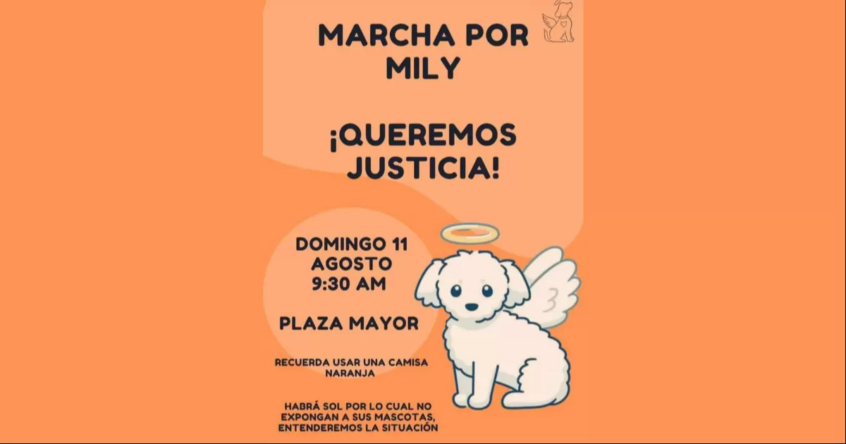 De acuerdo con la asociación Mascotas de Familia  una perforación en uno de sus pulmones  y el daño que presentaban sus órganos internos, fueron las causas de su deceso.