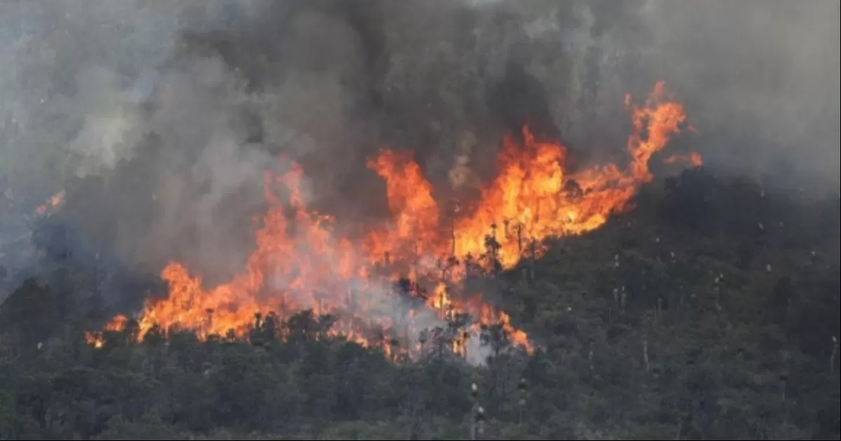 Para combatir esta problemática  y brindar una respuesta más eficiente ante los incendios, el gobierno estatal ha destinado una inversión de 50 millones de pesos.