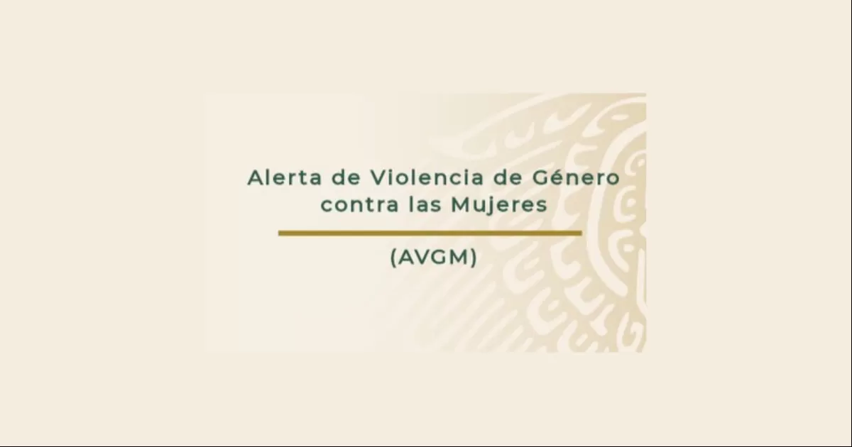 La convocatoria pública es dirigida para representantes de organización de la sociedad civil, personas e instituciones especialistas en derechos humanos de las mujeres.