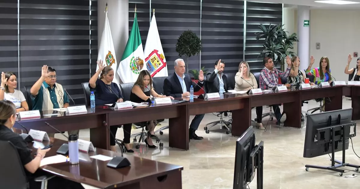 La secretaria del Ayuntamiento, Natalia Fernández, explicó que esta iniciativa ciudadana iniciativa requiere el 1% de firmas del padrón del último padrón electoral que eran cerca de 350 mil, sin embargo se juntaron en un solo fin de semana mil firmas.