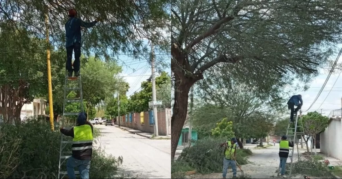 El director de la dependencia dijo que desde el inicio de la administración se trabaja arduamente en el embellecimiento del municipio, realiza labores de limpieza, desmalezado y recolección de escombro, a espacios públicos del área urbana y rural.