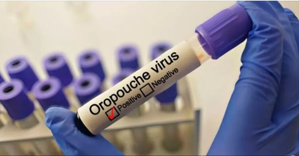 Â¿QuÃ© es y cÃ³mo se transmite el Oropuche?: todo sobre el nuevo virus que amenaza a MÃ©xico