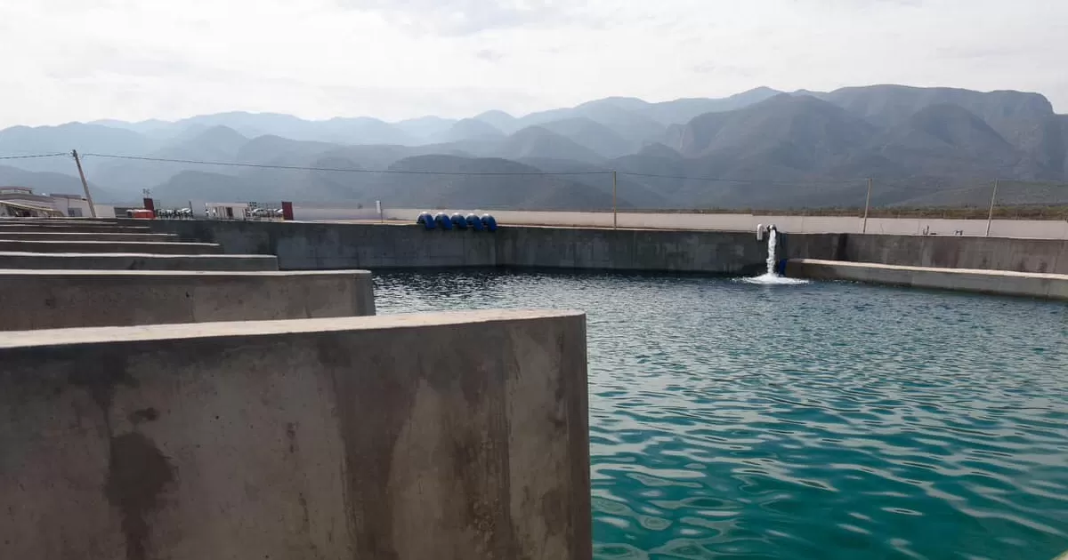 Empresas vinculadas obtienen millonarios contratos para obras de agua y acumulan retrasos
