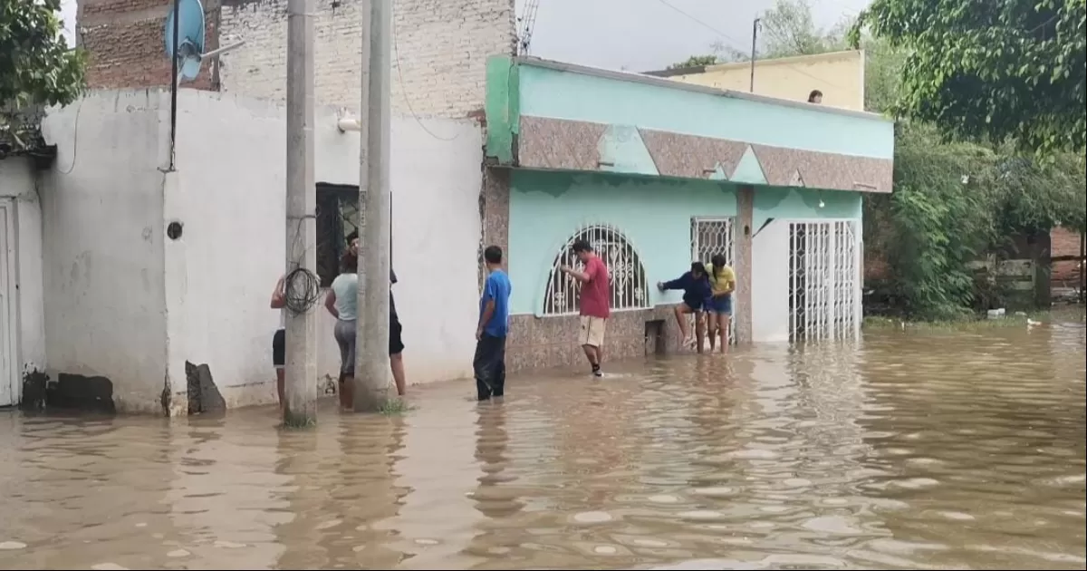 Así mismo, consideró que debe de haber un organismo especialista que dé la continuidad que un proyecto como el referido necesita pues con los cambios de administraciones constantes no se ejecutan las obras de este tipo como debe ser.