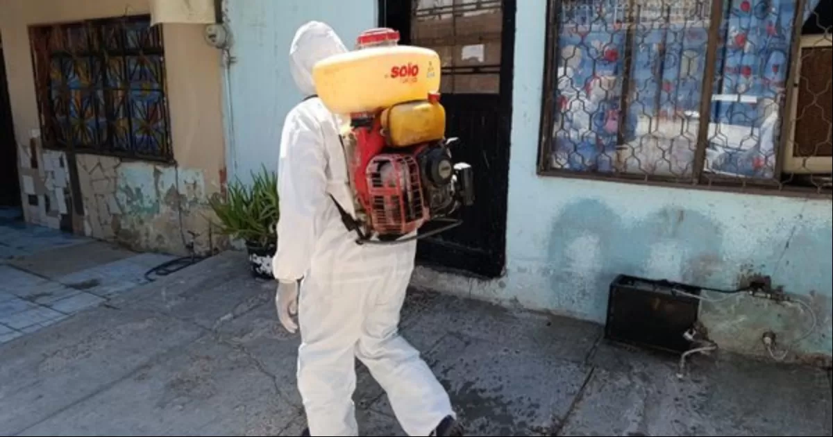 Registra Coahuila 914 casos positivos de dengue
