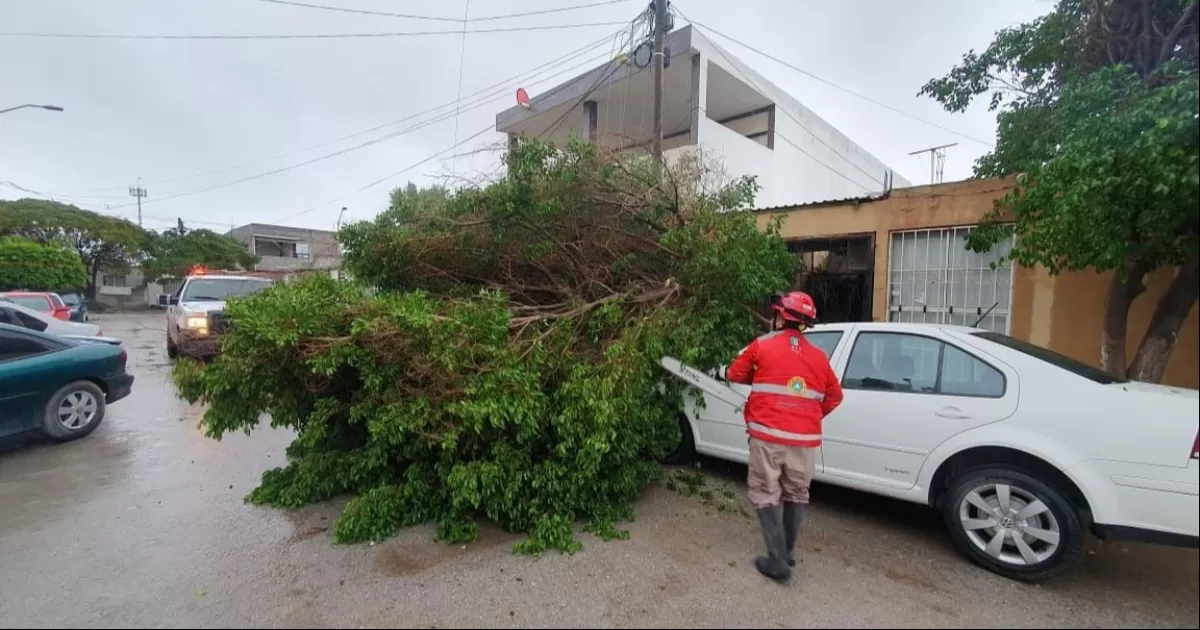 Piden en Gómez Palacio mantener “precauciones” ante posibilidad de más lluvias