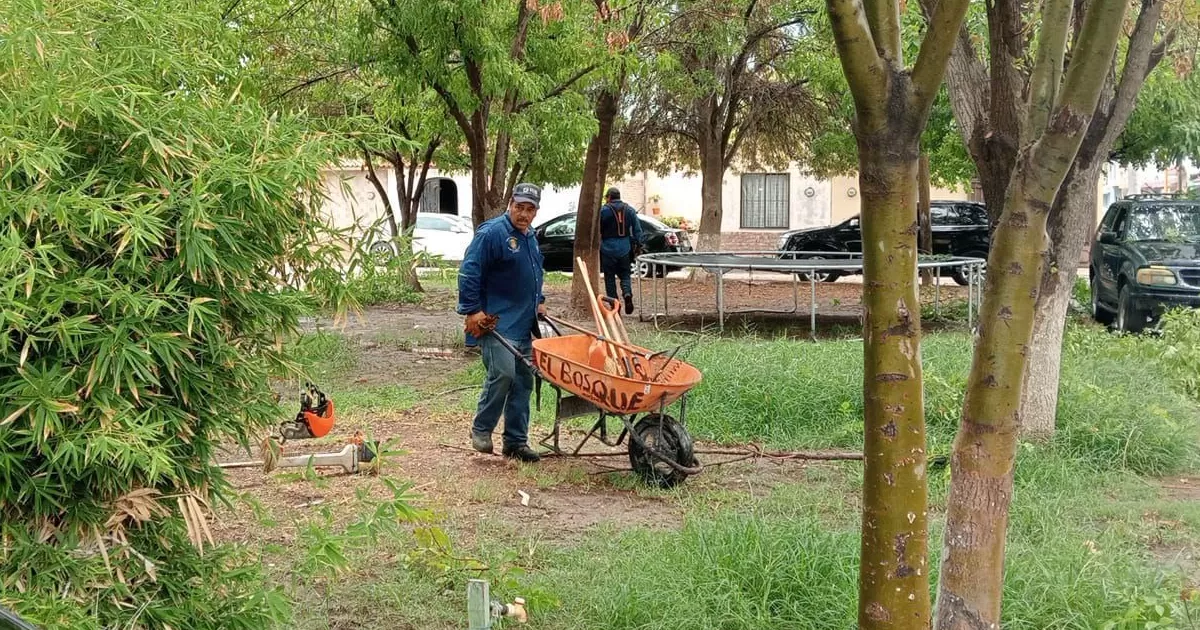 El titular de la dependencia señaló que se está trabajando en diversas áreas verdes y plazas del municipio con el fin de desmalezarlas y evitar la proliferación de los mosquitos en los arbustos.
