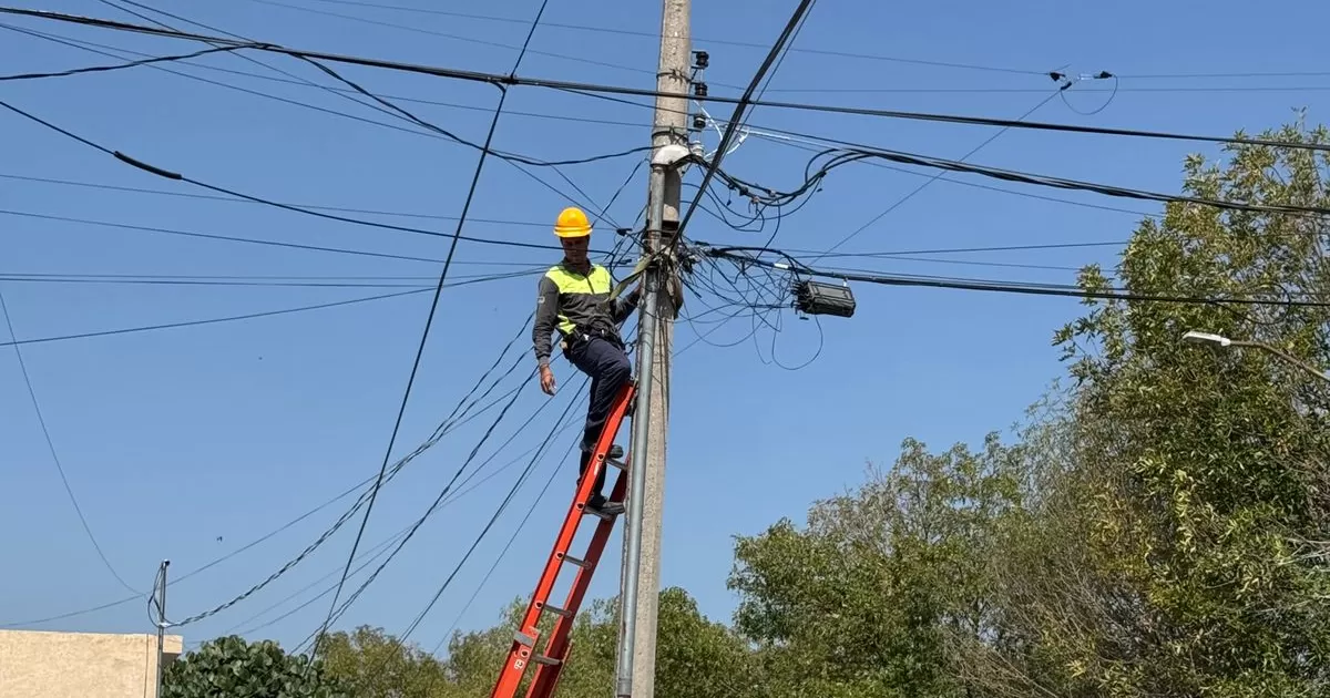 Inicia ordenamiento de cableado en la colonia Torreón Jardín