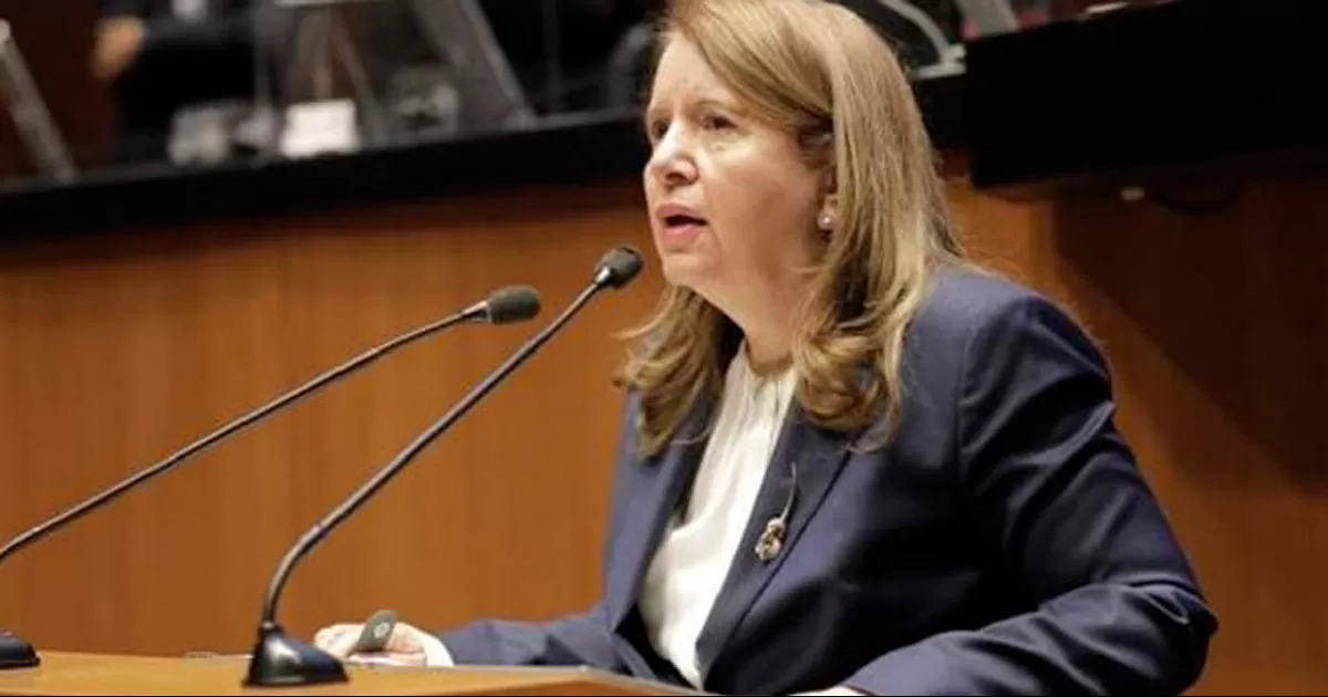 Ministra acusa ofertas de Salinas Pliego