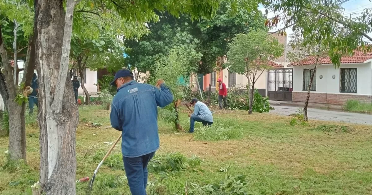 El titular de Servicios Públicos comentó que se trabaja en el embellecimiento del municipio, aplicando arduas tareas de limpieza, desmalezado y recolección de escombro de diversas plazas y colonias