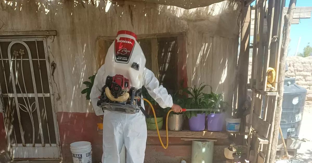 Continúan acciones contra el dengue en La Laguna