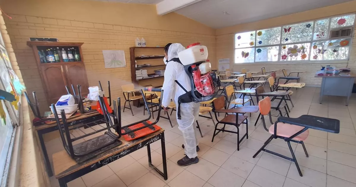 Además de realizar fumigaciones contra dengue, también se hizo lo propio para combatir la rickettsia.