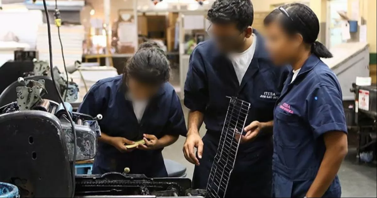 Sofía Carriedo García, directora del IMJ, explicó que el programa se sostiene gracias a convenios con diversas instituciones educativas de niveles medio superior y superior, tanto públicas como privadas.