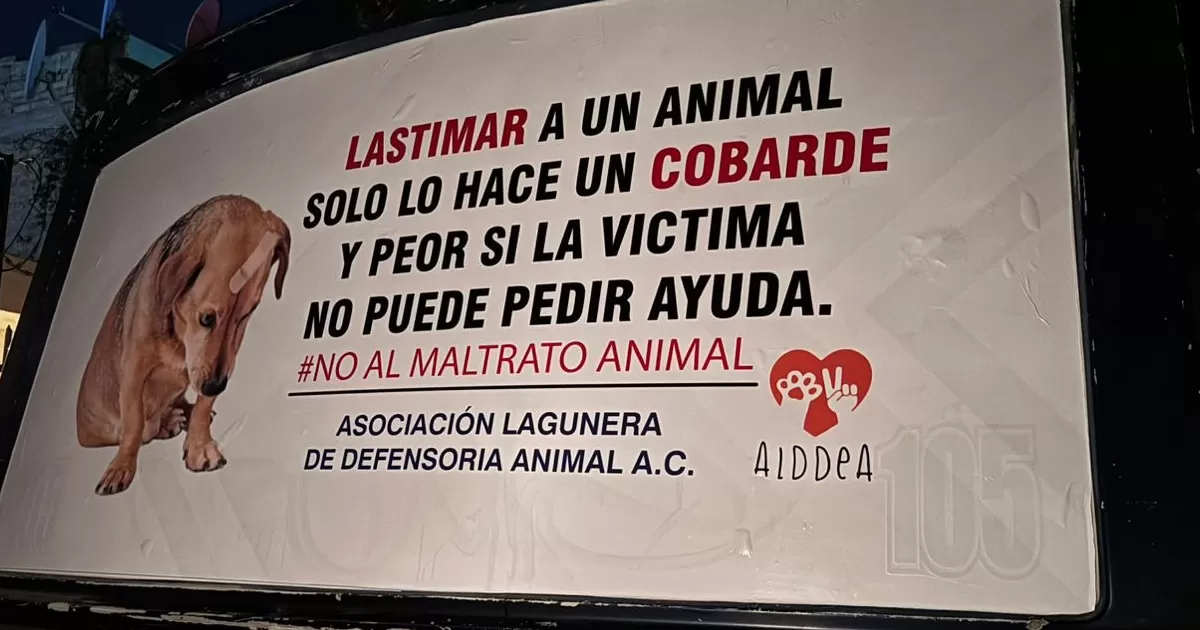 Lanzan campaña contra el maltrato animal en la Laguna